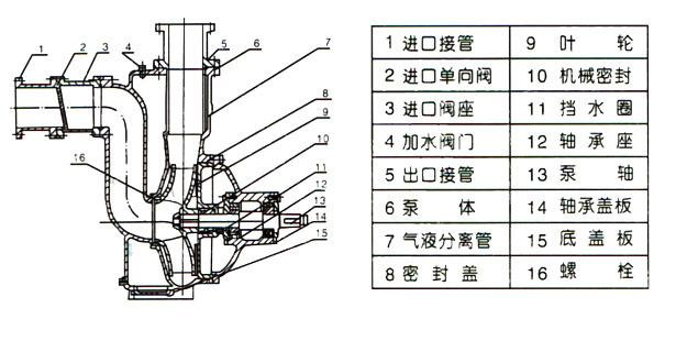 ZW型自吸式无堵塞小黄片应用下载（结构图）