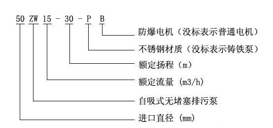ZW型自吸式无堵塞小黄片应用下载型号意义